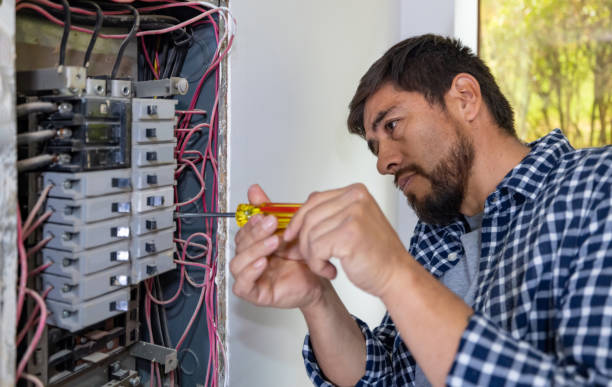 Best Electric Panel Repair  in Farmington, NM